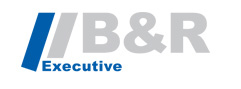 br-executive_logo