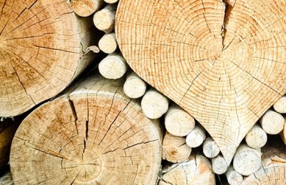 CNC-operator (houtbranche) 